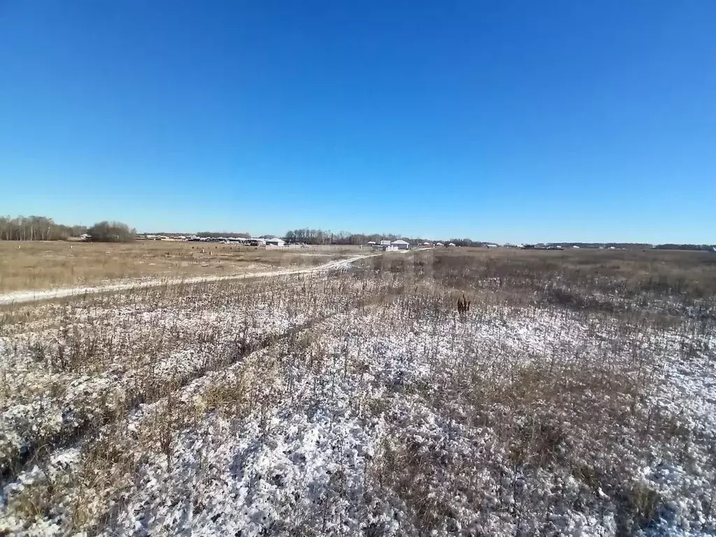 Участок в Тюменская область, Тюменский муниципальный округ, ... - Фото 1