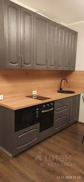 Студия Санкт-Петербург аллея Арцеуловская, 21 (24.8 м) - Фото 1