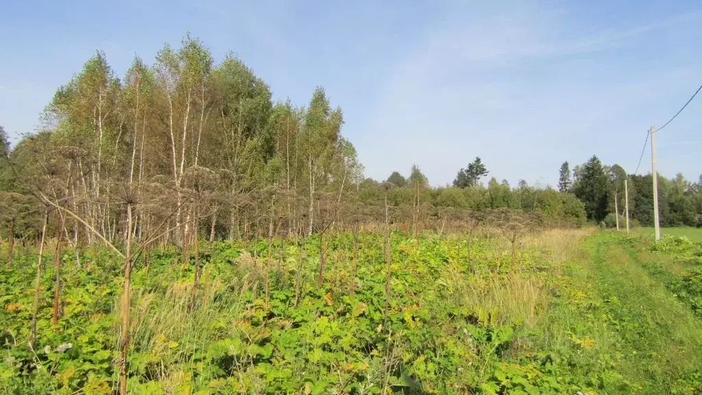 Участок в Московская область, Рузский муниципальный округ, д. Гомнино  ... - Фото 0