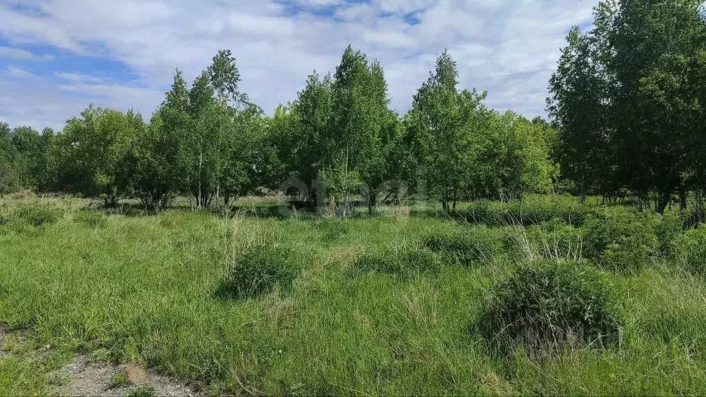 Участок в Новосибирская область, Искитимский район, д. Бурмистрово  ... - Фото 1