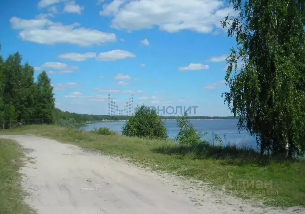 Участок в Нижегородская область, Лысковский район, Бор с/пос ул. ... - Фото 1