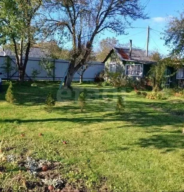 Участок в Калининградская область, Калининград Дружба-2 СНТ, проезд ... - Фото 1