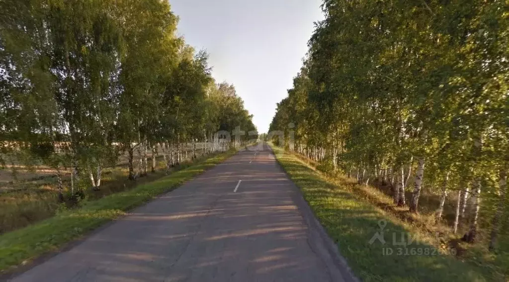 Участок в Белгородская область, Белгородский район, Хохловское с/пос, ... - Фото 0