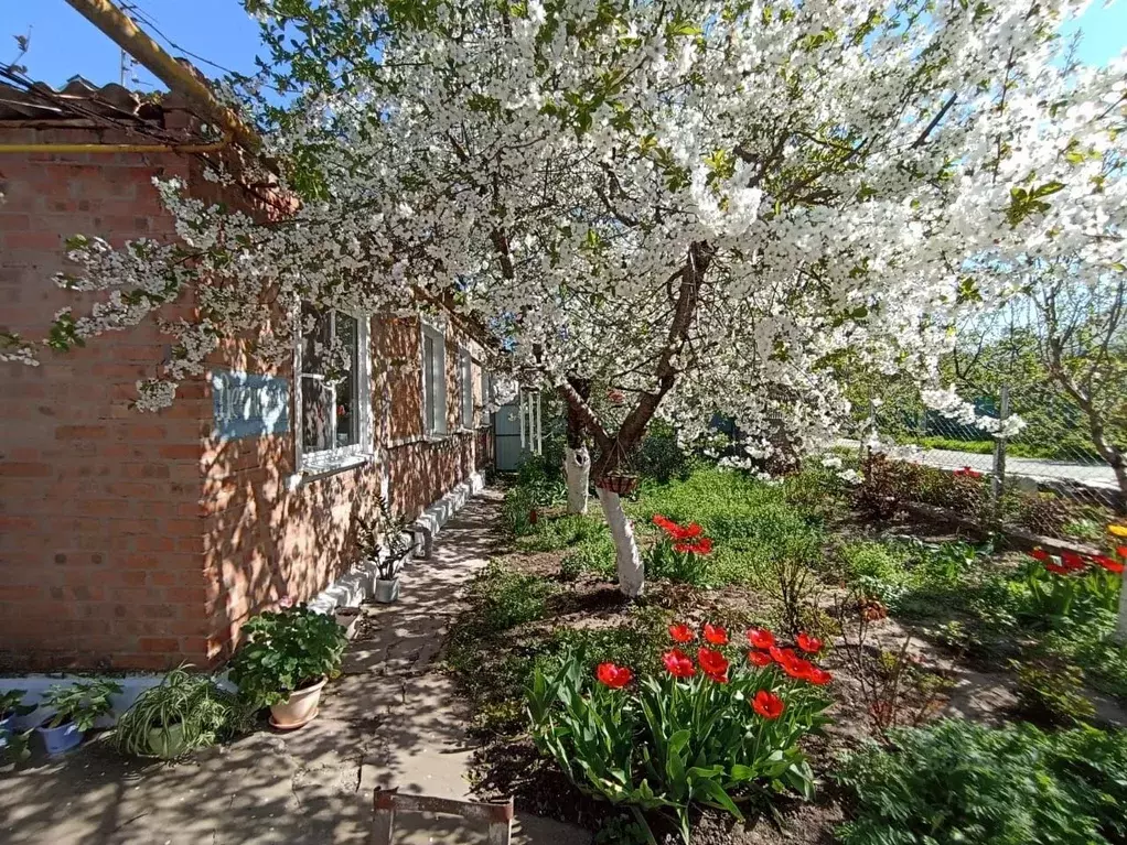 Дом в Ростовская область, Волгодонск Лесной пер. (45 м) - Фото 1