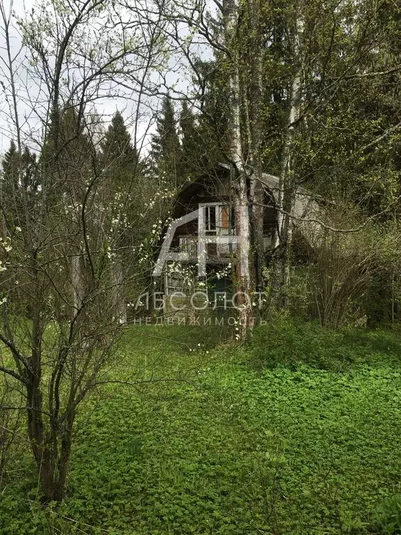 Дом в Сергиево-Посадский городской округ, СНТ 40 лет Октября (54.3 м) - Фото 2