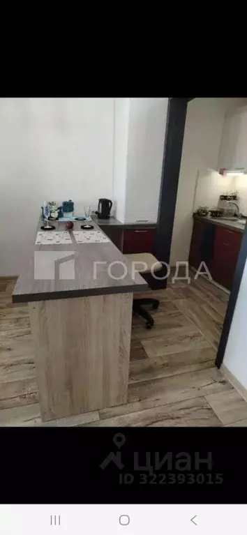 Студия Новосибирская область, Новосибирск ул. Плющихинская, 1 (39.0 м) - Фото 2