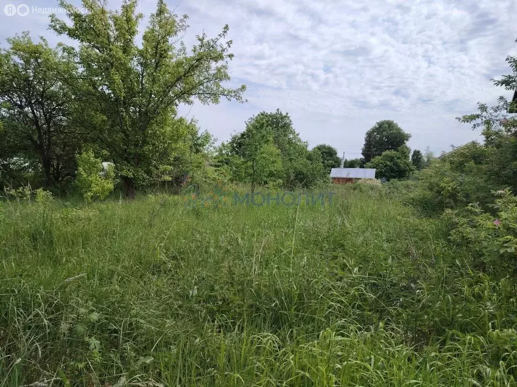 Участок в Нижегородская область, Богородский муниципальный округ, ... - Фото 0