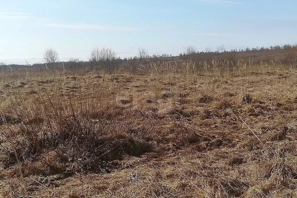 Участок в Вологодская область, д. Мальгино (Подлесный сельсовет)  ... - Фото 1