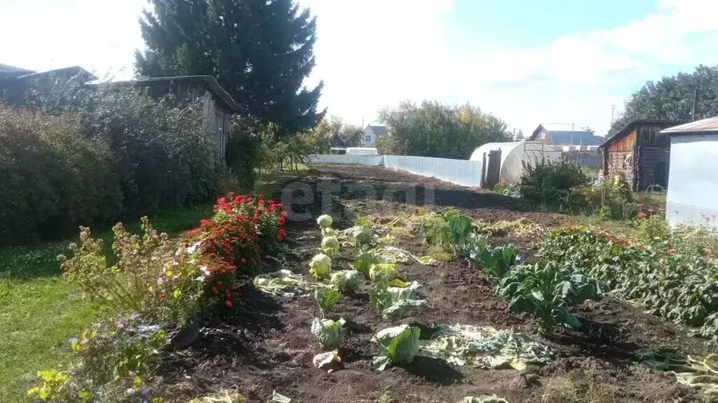 Участок в Заводоуковск, улица Республики (9.86 м) - Фото 1