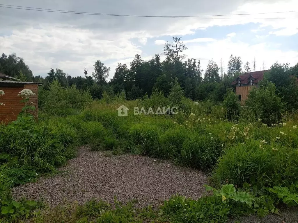 Участок в Ленинградская область, Сертолово Всеволожский район, ... - Фото 1