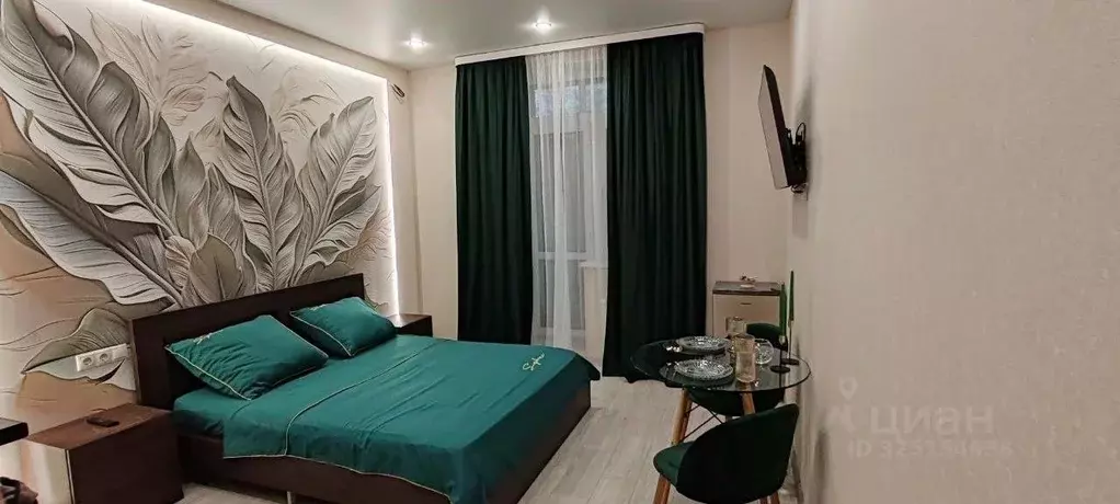 Студия Московская область, Раменское ул. Березовая Роща, 4 (23.8 м) - Фото 2