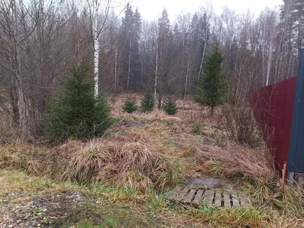 Участок в Московская область, Пушкинский городской округ, д. Грибаново ... - Фото 1