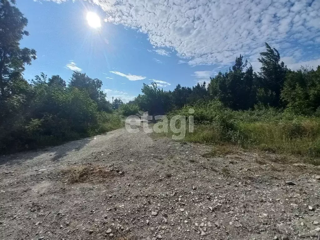 Участок в Краснодарский край, Геленджик муниципальное образование, с. ... - Фото 0