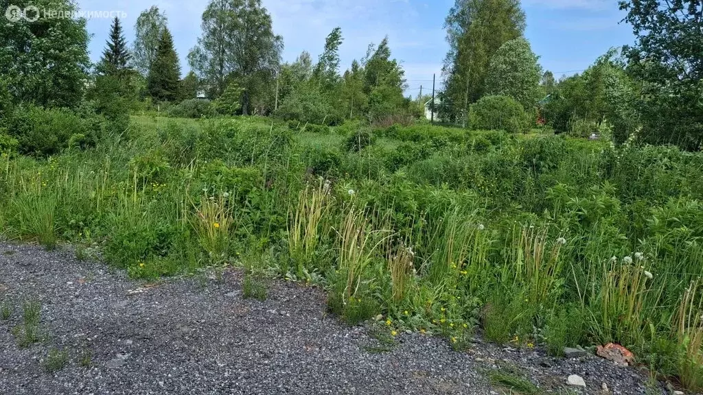 Участок в посёлок Большая Вишера, 3-я Советская улица, 5А (12 м) - Фото 0