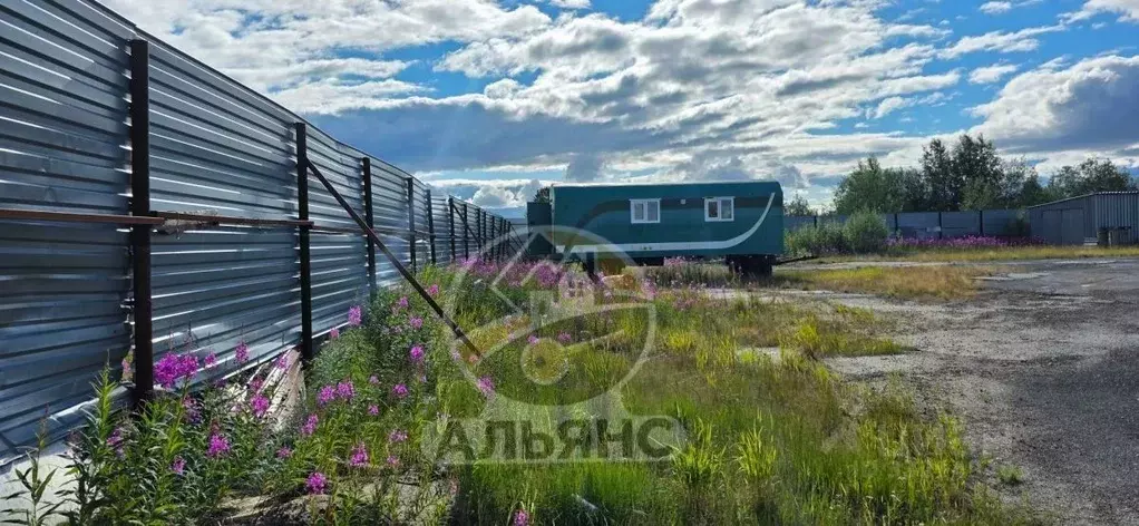 Участок в Ямало-Ненецкий АО, Новый Уренгой ул. Промысловая (96.0 сот.) - Фото 1