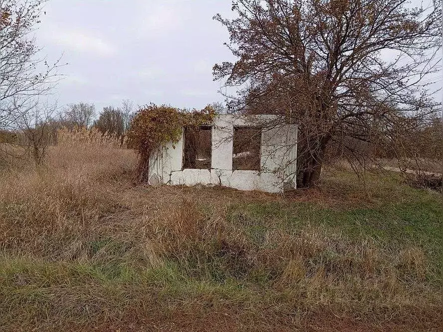 Участок в Краснодарский край, Приморско-Ахтарский муниципальный округ, ... - Фото 1