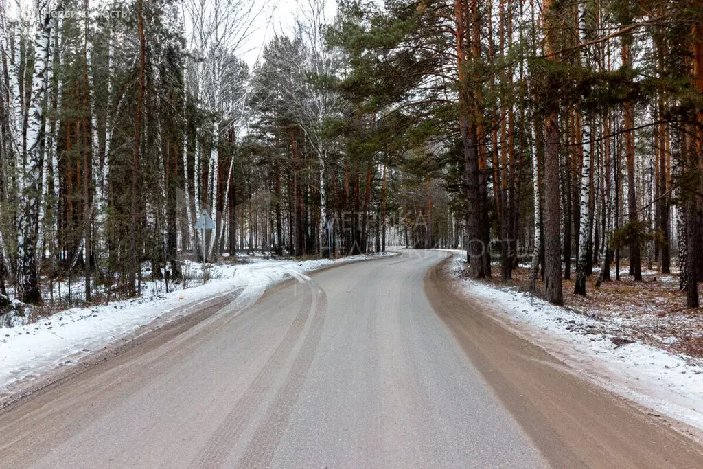 Участок в Тюмень, садовое товарищество Ясень (6.6 м) - Фото 1