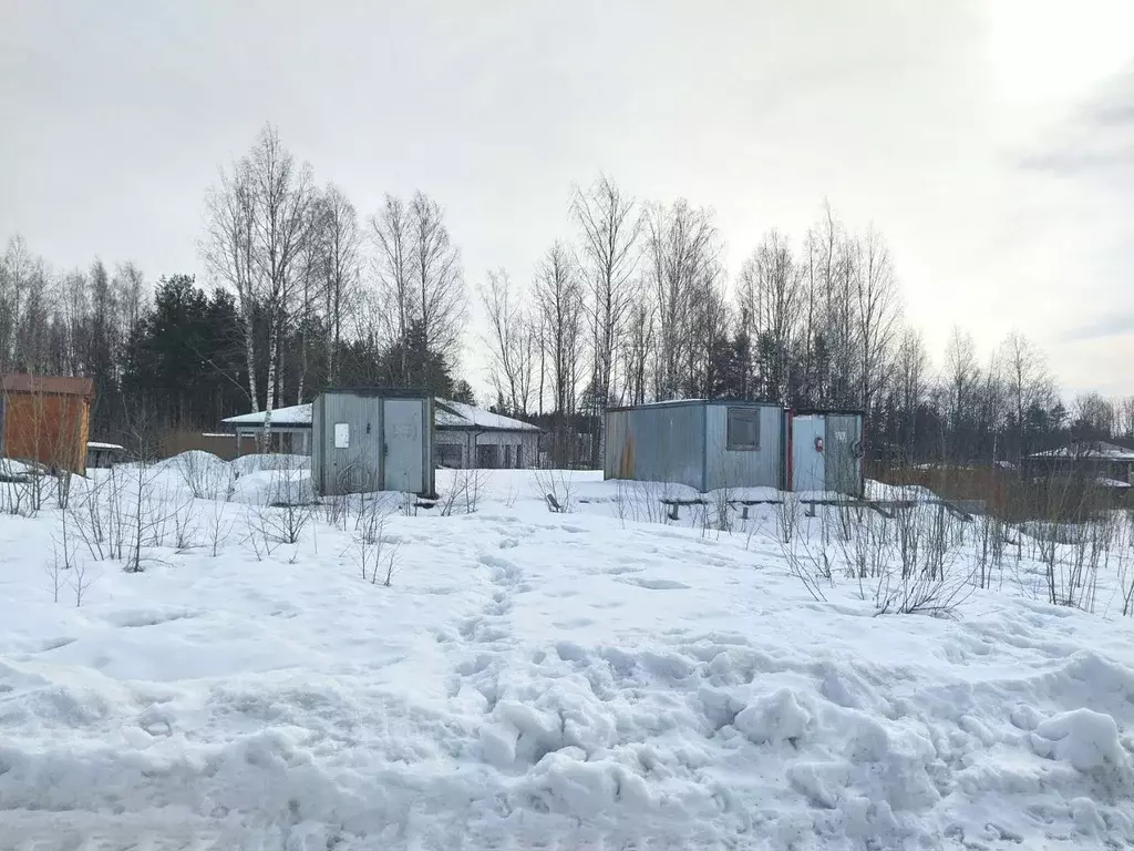 Участок в Ленинградская область, Всеволожский район, Лесколовское ... - Фото 1