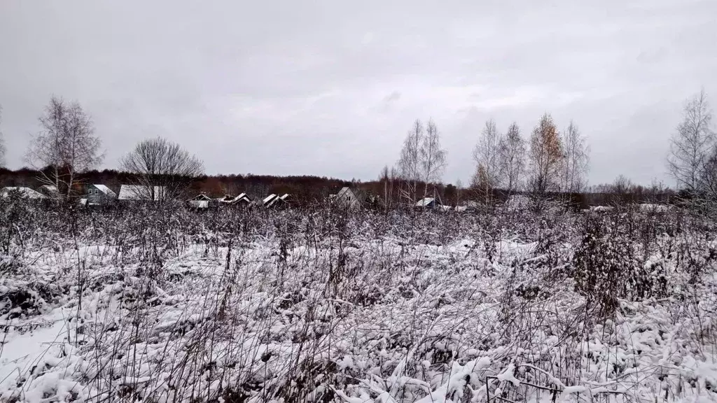 Участок в Московская область, Егорьевск муниципальный округ, д. Панино ... - Фото 0