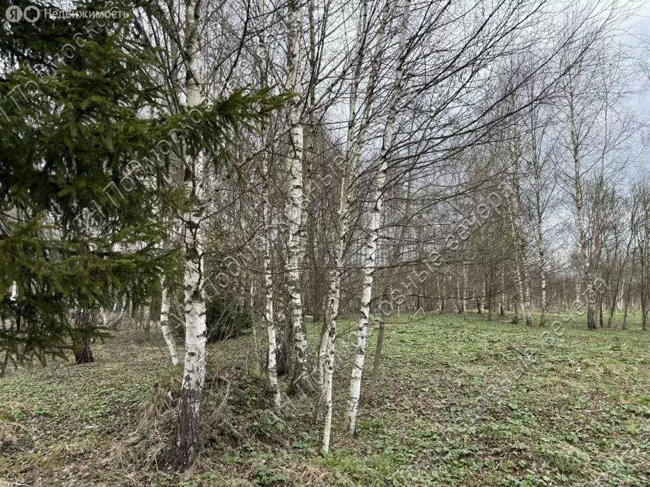 Участок в Московская область, городской округ Солнечногорск, деревня ... - Фото 1