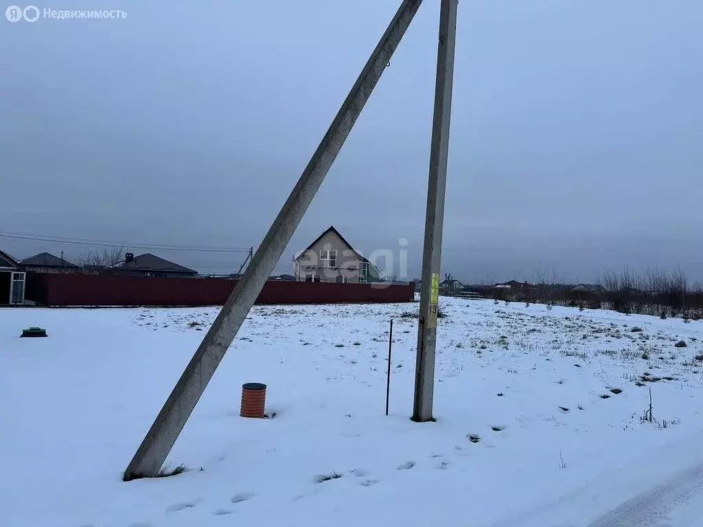 Участок в Калининградская область, Гурьевский муниципальный округ, ... - Фото 1