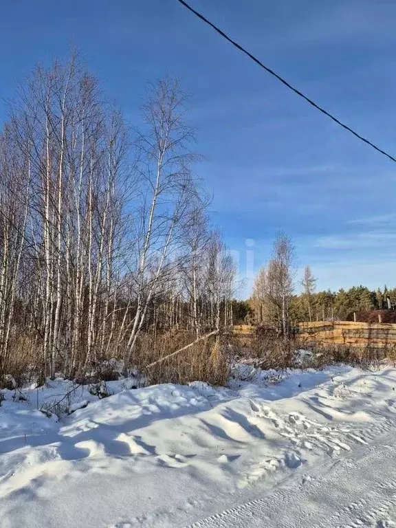 Участок в Свердловская область, Ревда муниципальный округ, с. Кунгурка ... - Фото 1
