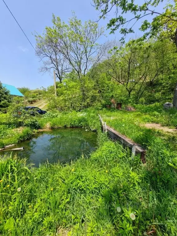 Участок в Приморский край, Находка Строитель СНТ, ул. Садовая, 6 (25.0 ... - Фото 0