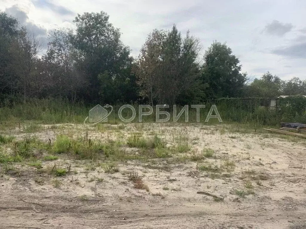 Участок в Тюменская область, Нижнетавдинский муниципальный округ, ... - Фото 2