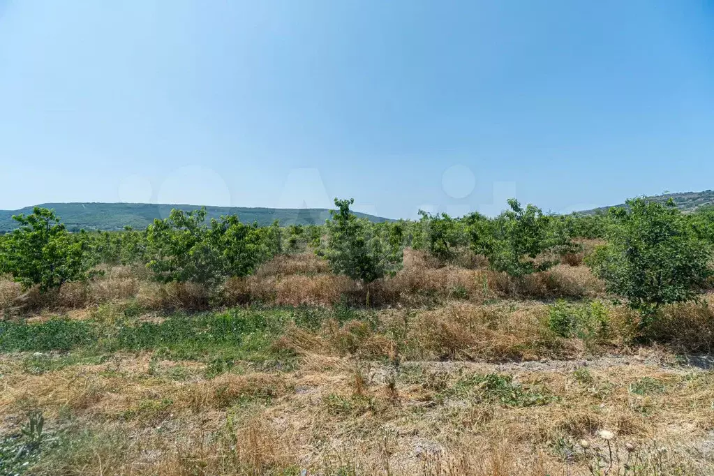 Участок 1,1 га (СНТ, ДНП) - Фото 1