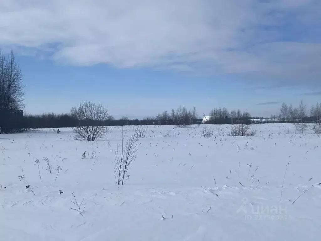 Участок в Московская область, Луховицы муниципальный округ, д. ... - Фото 1