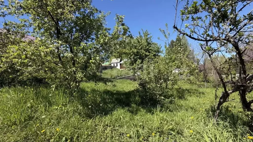 Участок в Алтай, Горно-Алтайск Ягодный пер. (6.0 сот.) - Фото 2