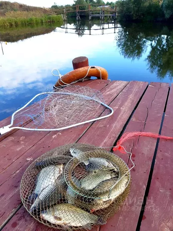 Коттедж в Башкортостан, Уфа городской округ, д. Елкибаево ул. Деловая, ... - Фото 2