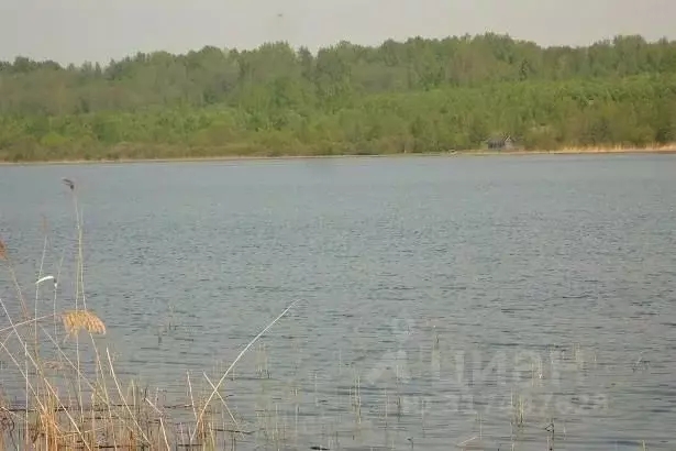 Участок в Псковская область, Плюсский муниципальный округ, д. Ктины  ... - Фото 1