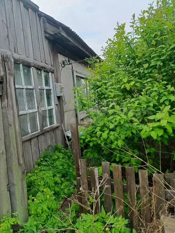 Дом 49 м на участке 5 сот. - Фото 0