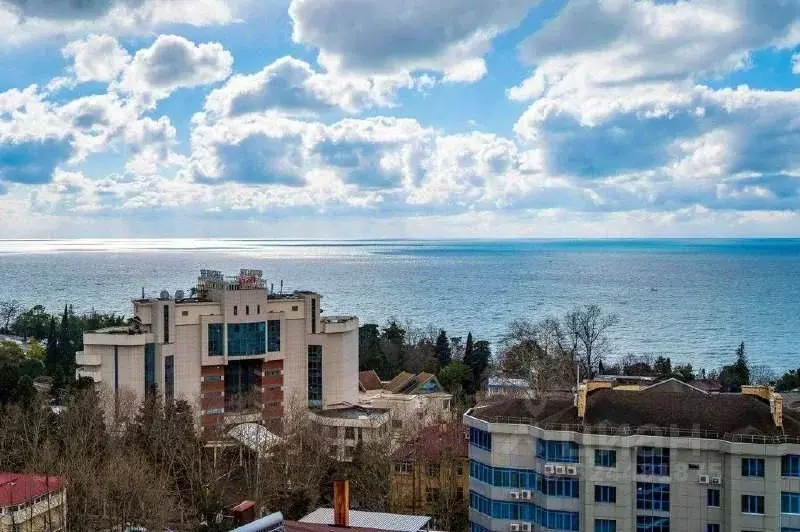 1-к кв. Краснодарский край, Сочи Курортный просп., 59 (58.0 м) - Фото 2