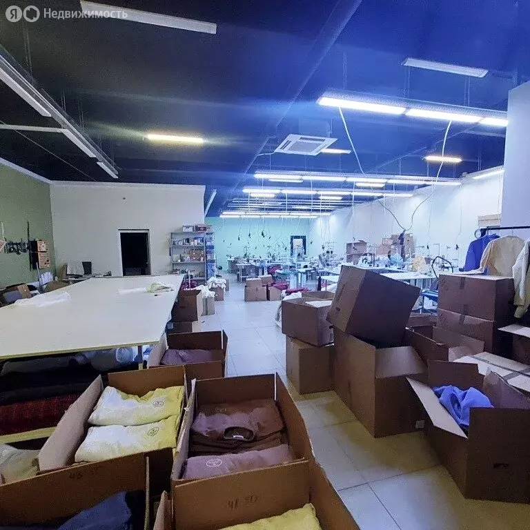 Помещение свободного назначения (225 м) - Фото 1