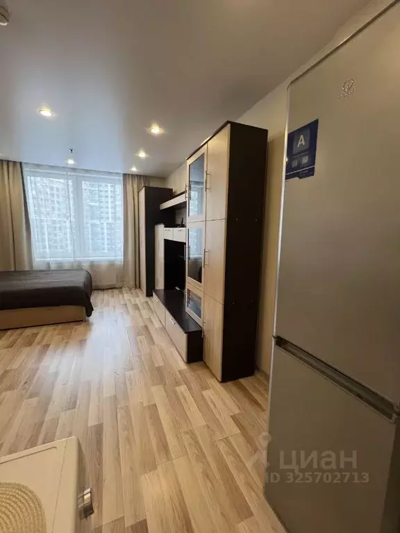 Студия Санкт-Петербург ул. Хошимина, 16А (28.0 м) - Фото 2