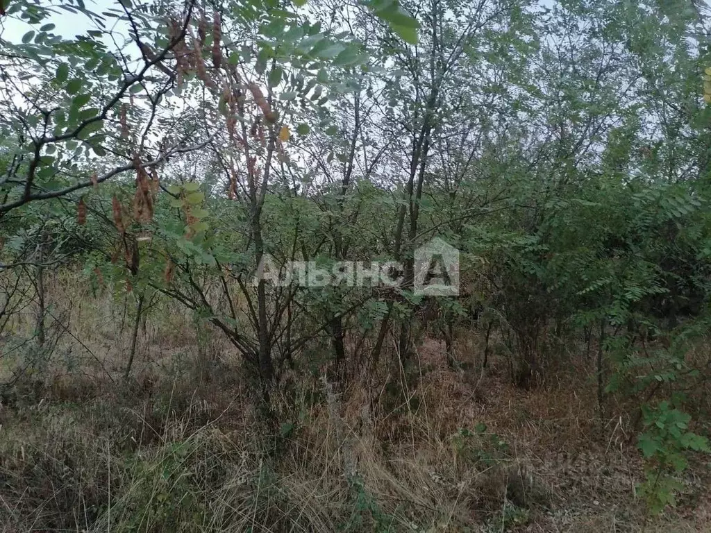 Участок в Ростовская область, Усть-Донецкий район, Мелиховская ст-ца ... - Фото 2