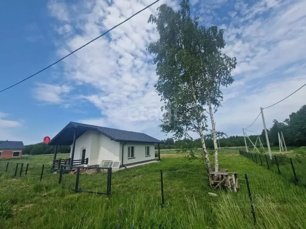 Участок в Калининградская область, Багратионовский муниципальный ... - Фото 1