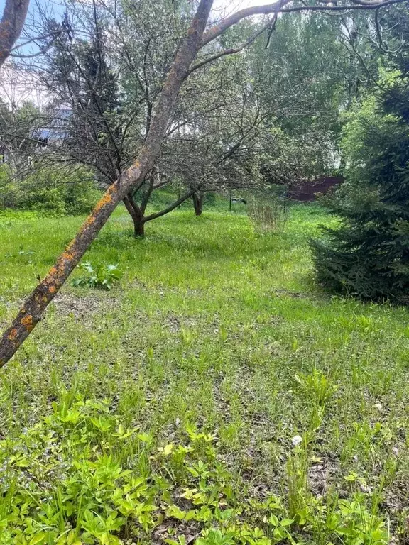 Участок в Московская область, Ступино городской округ, д. Соколова ... - Фото 1