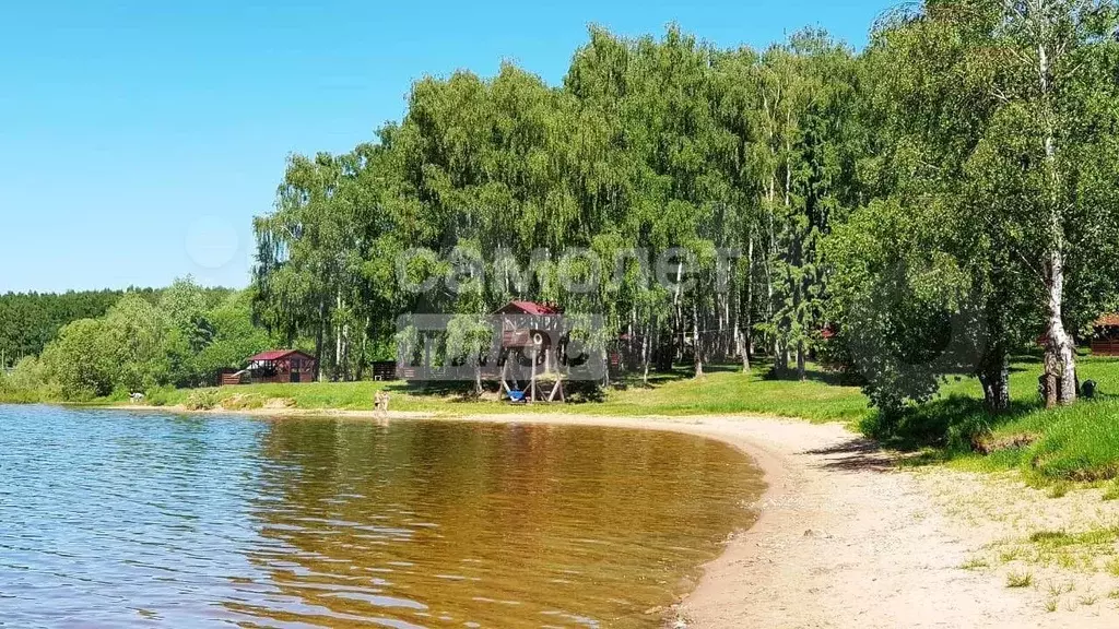 Участок 12 сот. (СНТ, ДНП) - Фото 0
