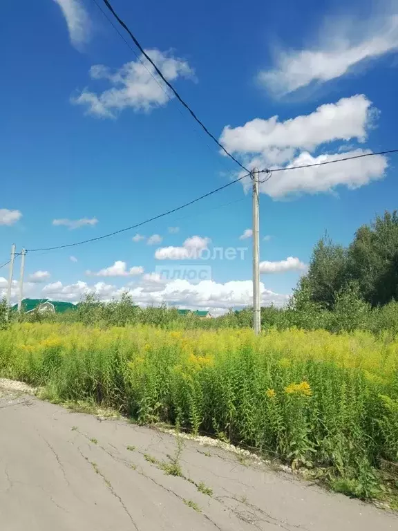 Участок в Нижегородская область, Бор городской округ, д. Каликино ул. ... - Фото 1