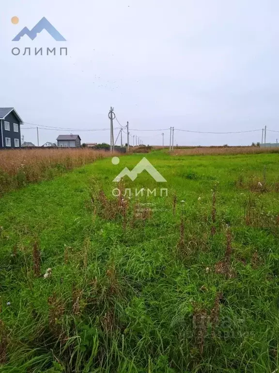 Участок в Вологодская область, пос. Харачево  (15.0 сот.) - Фото 1