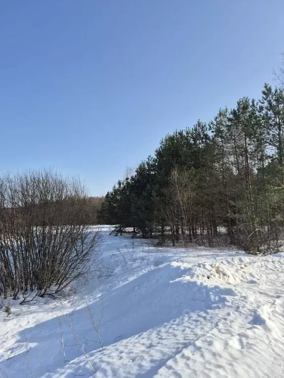 Участок в Тверская область, Калининский муниципальный округ, Порожки ... - Фото 2