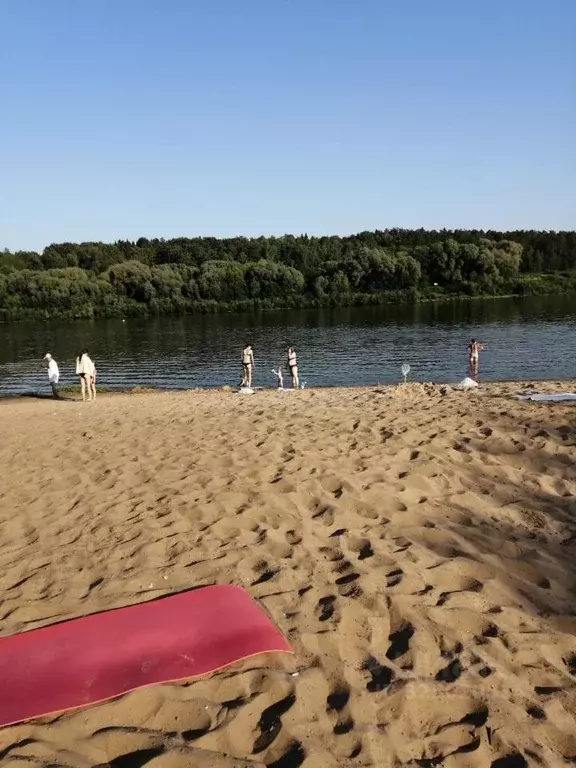 Участок в Калужская область, Тарусский муниципальный округ, Кузьмищево ... - Фото 1