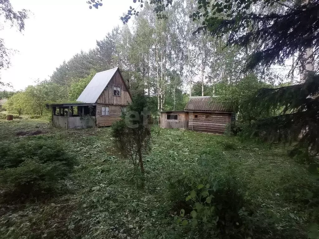 Дом в Петушинский район, муниципальное образование Пекшинское, деревня ... - Фото 1