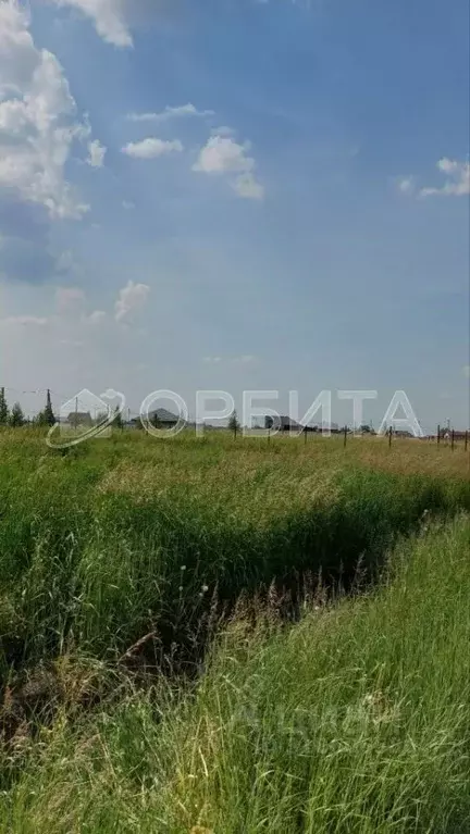 Участок в Тюменская область, Тюменский район, с. Борки  (13.0 сот.) - Фото 1