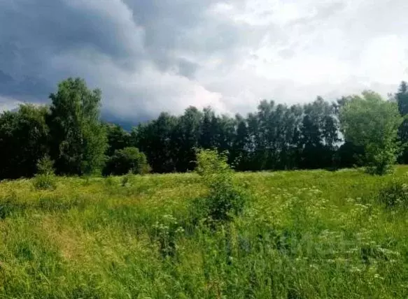 Участок в Московская область, Коломна городской округ, с. Андреевское  ... - Фото 2