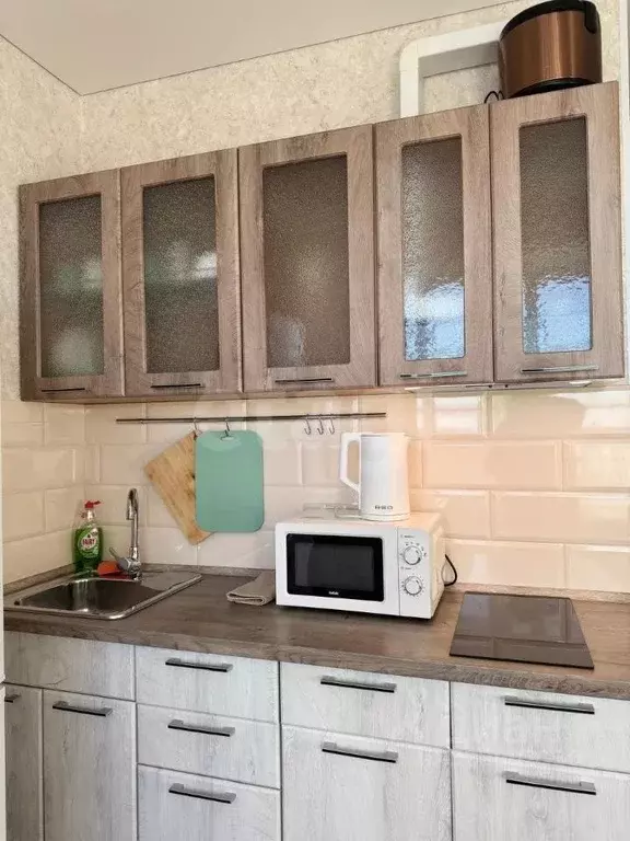 1-к кв. Новосибирская область, Новосибирск Гурьевская ул., 177 (30.0 ... - Фото 2