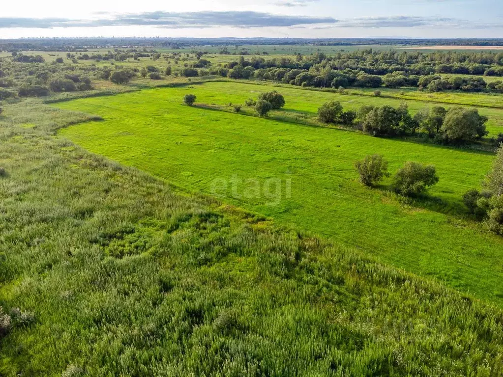 Участок в Хабаровский край, Хабаровский район, с. Дружба  (10.2 сот.) - Фото 0